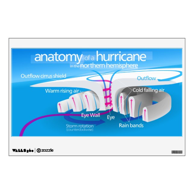 Anatomy of a Hurricane Diagram Wall Sticker (Front)