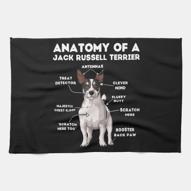 Anatomy of a Jack Russell Terrier Kitchen Towel (Horizontal)