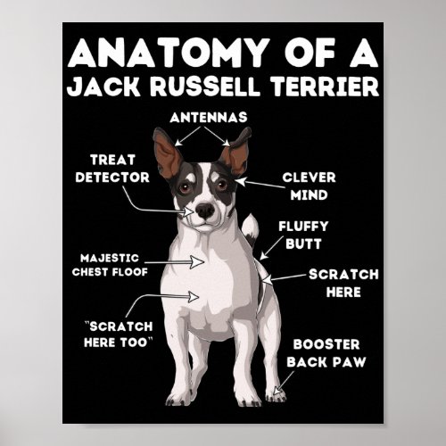 Anatomy of a Jack Russell Terrier Poster