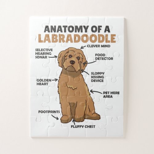 Anatomy Of A Labradoodle Cute Canine Puppy Jigsaw Puzzle