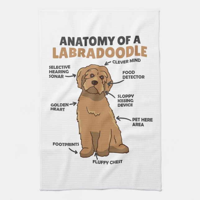 Anatomy Of A Labradoodle Cute Canine Puppy Kitchen Towel (Vertical)