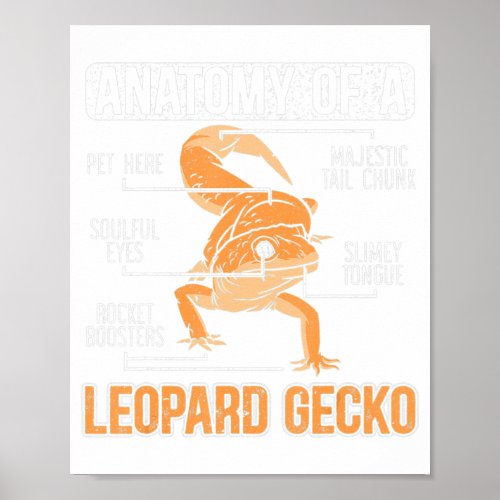 Anatomy Of A Leopard Gecko Lover Lizard Animal Rep Poster