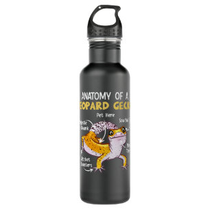 Anatomy Of A Leopard Gecko Stainless Steel Water Bottle
