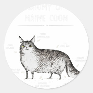 Anatomy Of A Maine Coon Shirt Funny Cat Humor Gift Classic Round Sticker