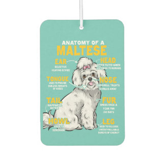 anatomy of a maltese dog lover air freshener