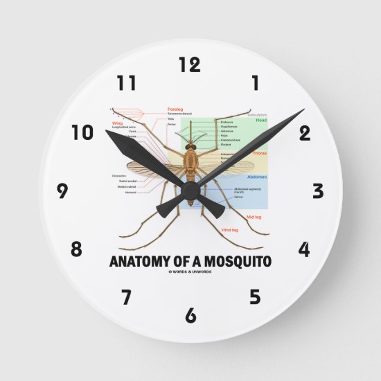 Anatomy Of A Mosquito (Entomology) Round Clock