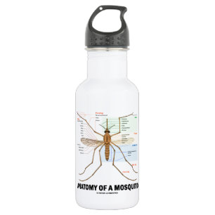 Anatomy Of A Mosquito (Entomology) Water Bottle