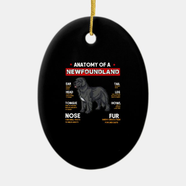 Anatomy Of A Newfoundland Dogs Lovers Ceramic Ornament (Front)