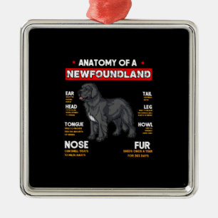 Anatomy Of A Newfoundland Dogs Lovers Metal Ornament