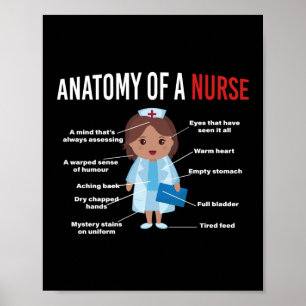 Anatomy Of A Nurse Poster