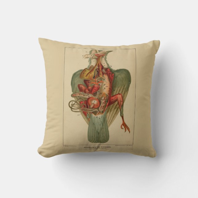 Anatomy of a Pigeon Throw Pillow (Front)