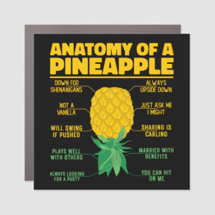 Anatomy Of A Pineapple Funny Pineapple Lovers Cool Car Magnet