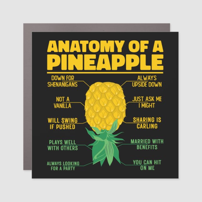 Anatomy Of A Pineapple Funny Pineapple Lovers Cool Car Magnet (Front)