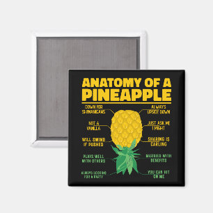 Anatomy Of A Pineapple Funny Pineapple Lovers Cool Magnet