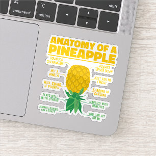 Anatomy Of A Pineapple Funny Pineapple Lovers Cool Sticker