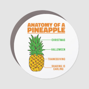 Anatomy Of A Pineapple Lovers Holidays Family Cool Car Magnet