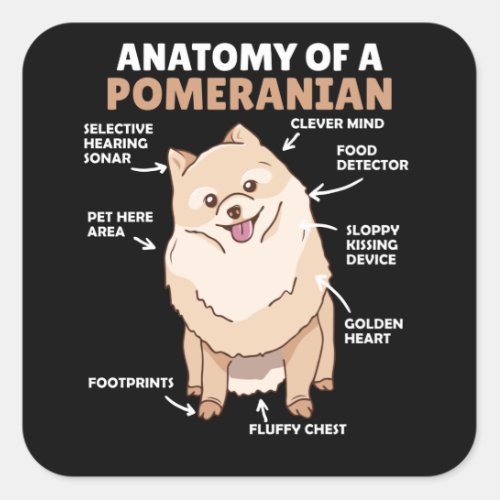 Anatomy Of A Pomeranian Cute Dog Puppy Square Sticker