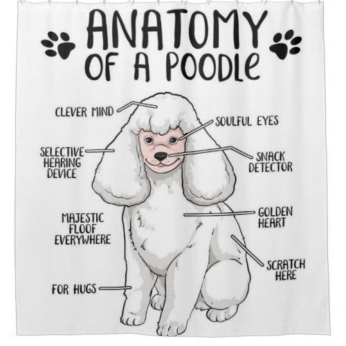 Anatomy Of A Poodle Lover Gift Shower Curtain