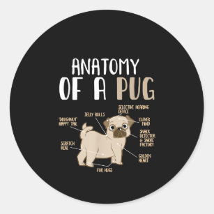 Anatomy of A Pug Breed Dog Pet Hound Lover Pun Classic Round Sticker