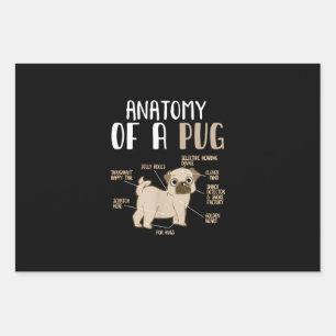 Anatomy Of A Pug Breed Dog Pet Hound Lover Wrapping Paper Sheets