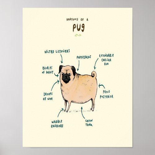 Anatomy of a Pug  Funny Pug Lover Poster