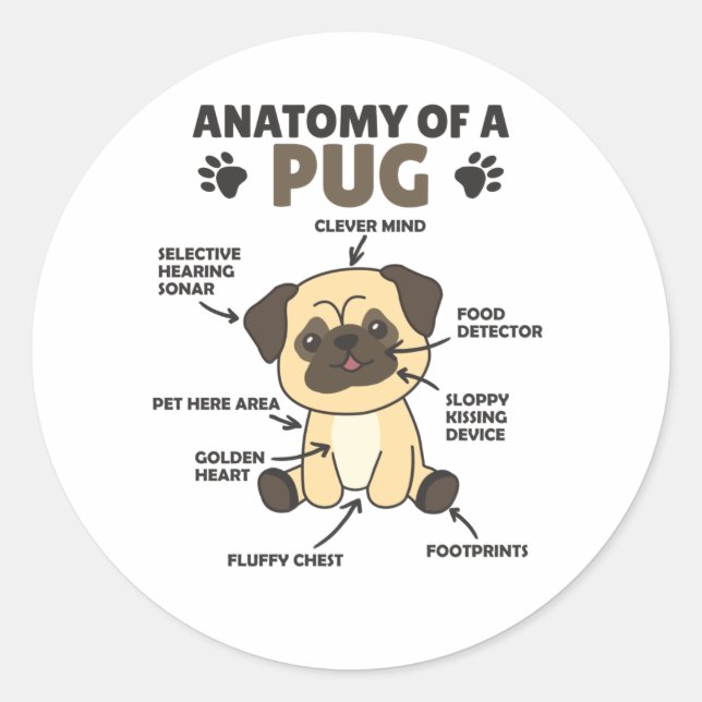 Anatomy Of A Pug Sweet Dogs Funny Puppy Classic Round Sticker (Front)