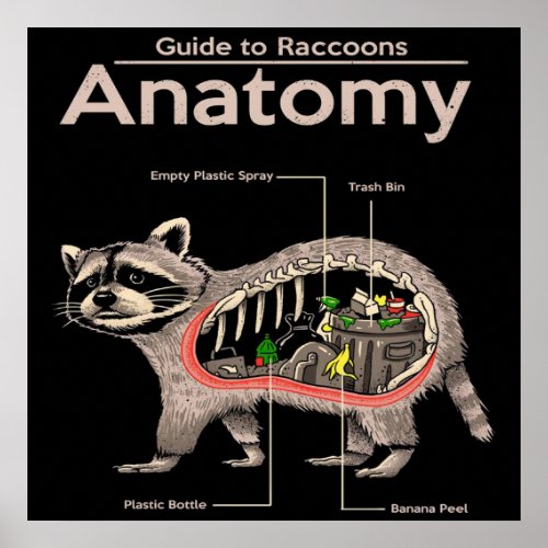 Anatomy of a Raccoon  Cute Panda Lover Poster