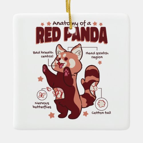 Anatomy of a Red Panda Animal Lover Ceramic Ornament