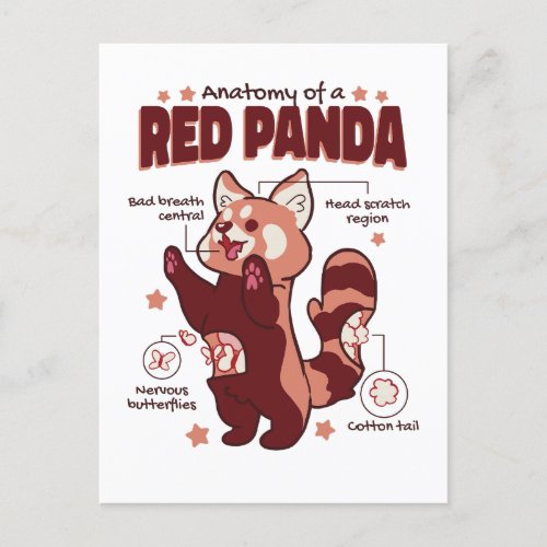 Anatomy of a Red Panda Animal Lover Postcard