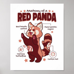 Anatomy of a Red Panda Animal Lover Poster