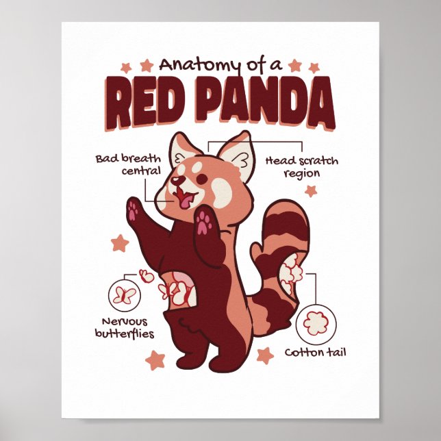 Anatomy of a Red Panda Animal Lover Poster (Front)