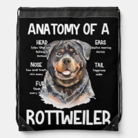 Anatomy Of A Rottweiler For Dog Lovers