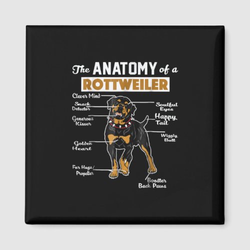 Anatomy of a Rottweiler Magnet