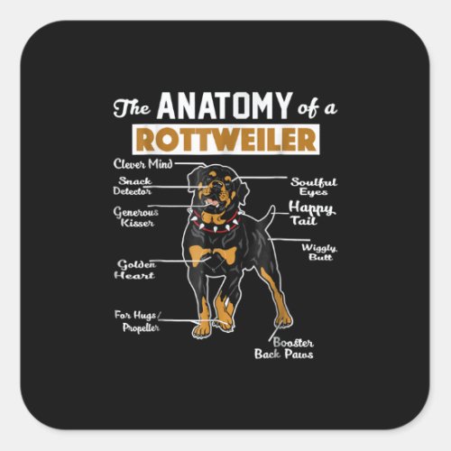 Anatomy of a Rottweiler Square Sticker