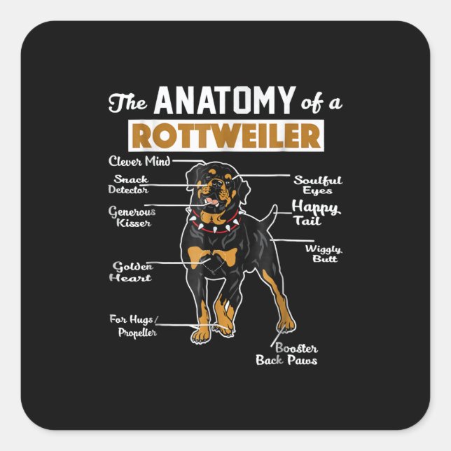 Anatomy of a Rottweiler Square Sticker (Front)