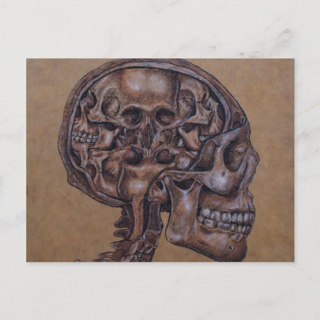 Anatomy of a Schizophrenic Postcard (Front)
