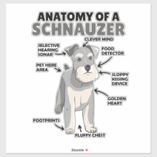 Anatomy Of A Schnauzer Cute Dog Puppy Sticker