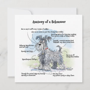 Anatomy of a Schnauzer Funny Notecard