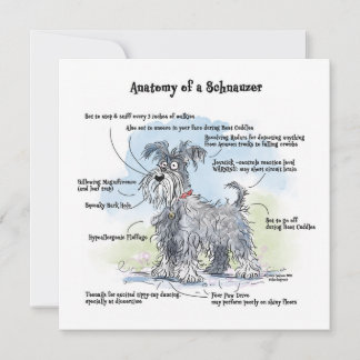 Anatomy of a Schnauzer Funny Notecard