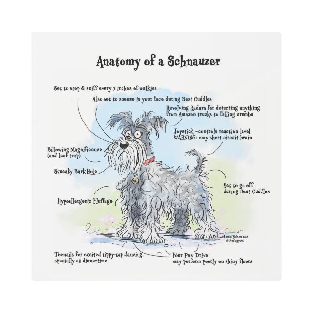 Anatomy of a Schnauzer Wall Art (Front)