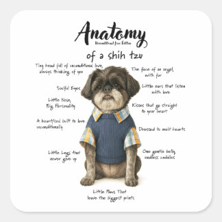 Anatomy of a Shihtzu Unconditional Love Edition Square Sticker