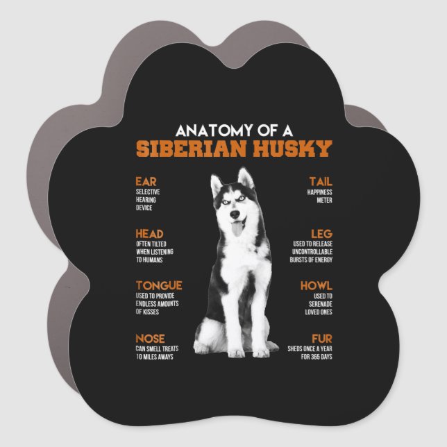 Anatomy of a Siberian Husky dogs funny Art Car Magnet (Front)