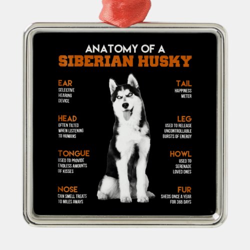 Anatomy of a Siberian Husky dogs funny Art Metal Ornament