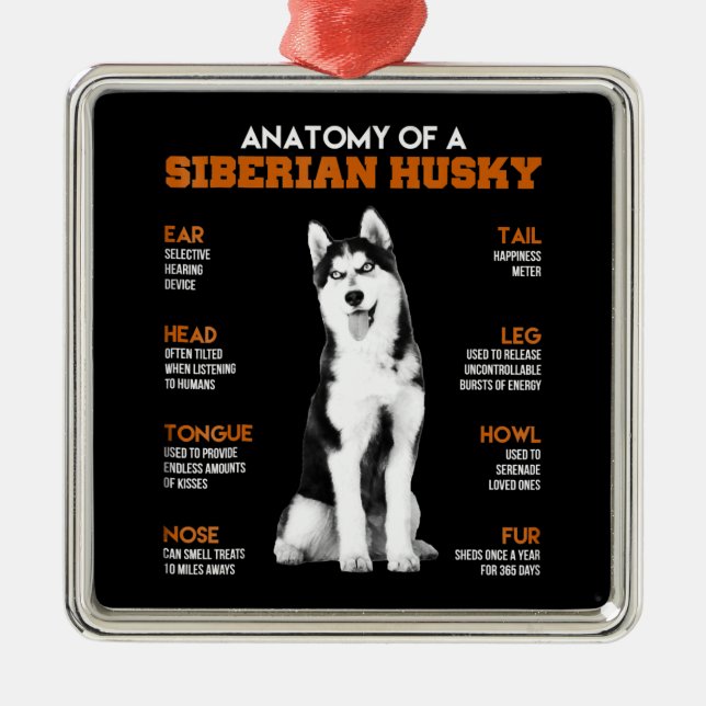 Anatomy of a Siberian Husky dogs funny Art Metal Ornament (Front)