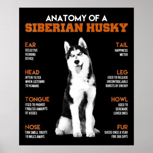 Anatomy of a Siberian Husky dogs funny Art Poster
