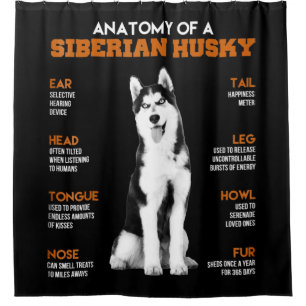 Anatomy of a Siberian Husky dogs funny Art Shower Curtain