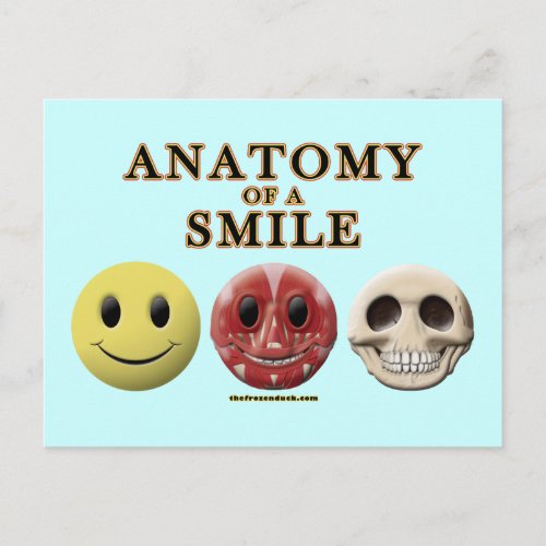 Anatomy of a Smile Postcard