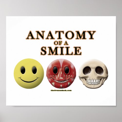 Anatomy of a Smile Poster