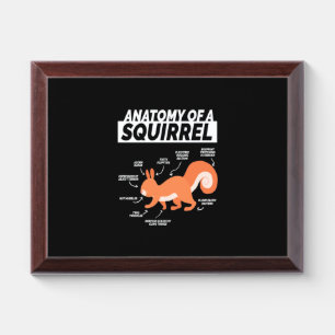 Anatomy Of A Squirrel Award Plaque