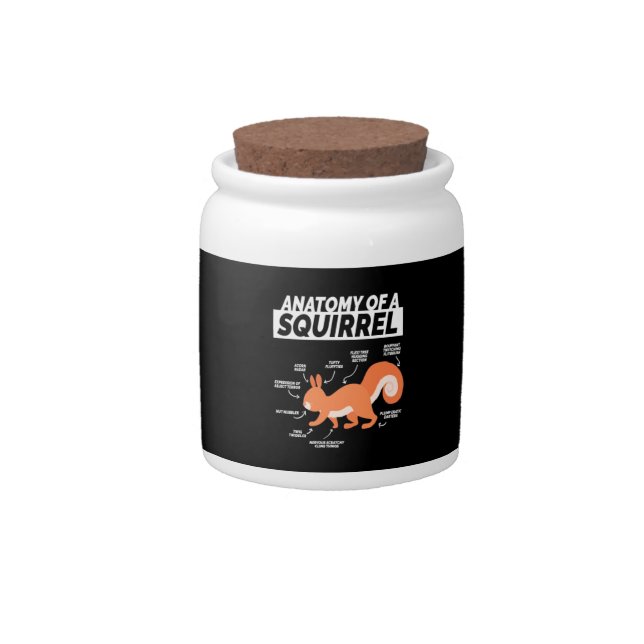 Anatomy Of A Squirrel Candy Jar (Front)